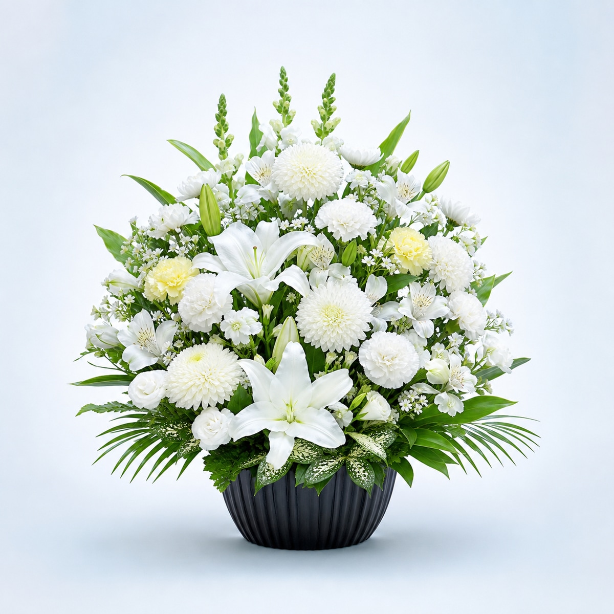 NY20 White