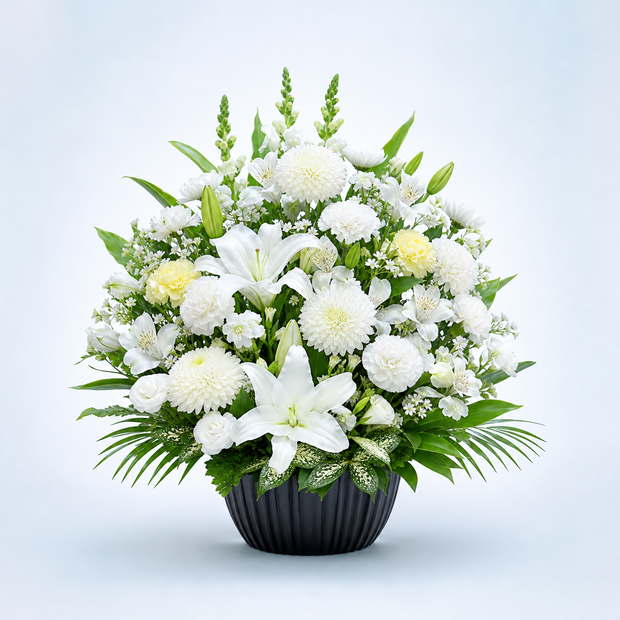 NY20 White